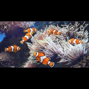 Meet your Posher, Timothy